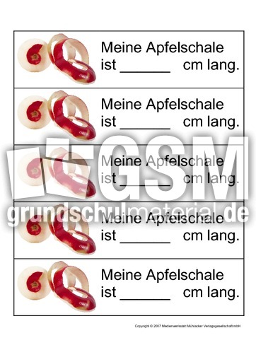 Apfelschalen-messen.pdf